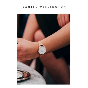 丹尼尔惠灵顿（DanielWellington）DW手表女表32mm金属表带欧美简约时尚女士手表DW00100163